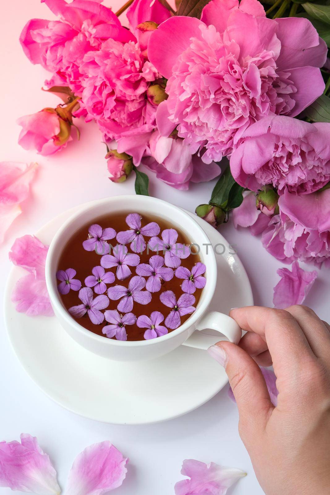 Creative layout with pink peonies flowers. Female hand holding cup of tea on bright table. Spring Seasonal valentine, woman, mother, 8 march holiday, romance breakfast. Stylish blogger. Greeting card. Invitation. Blog post