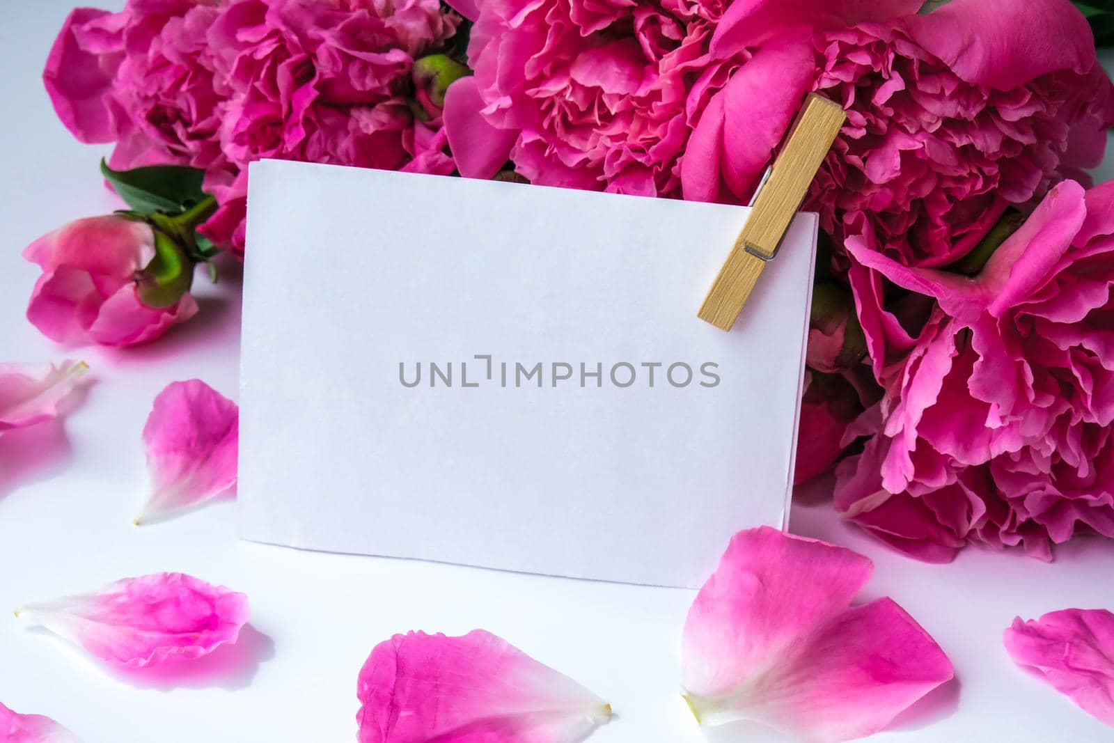 Bright pink peonies on a white background. Summer flower arrangement. Background for a greeting card with paper note. Copy space. The concept of a holiday, birthday, Valentine's Day, gift, declaration of love