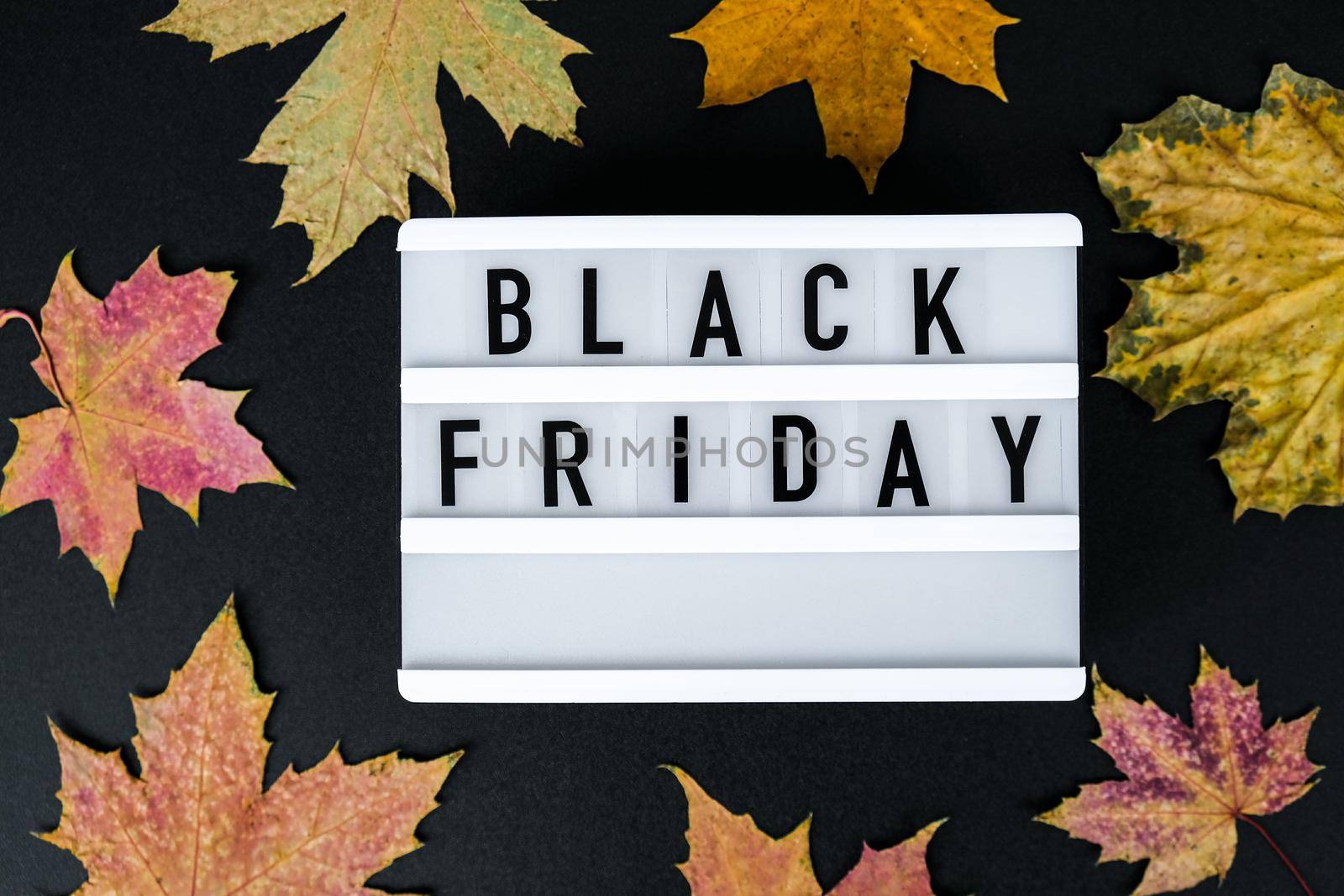 Lightbox with text BLACK FRIDAY around autumn fall leaves, Sale shopping concept. Online shopping Template Black friday sale mockup fall thanksgiving promotion advertising Big sale. Cyber monday. Holiday