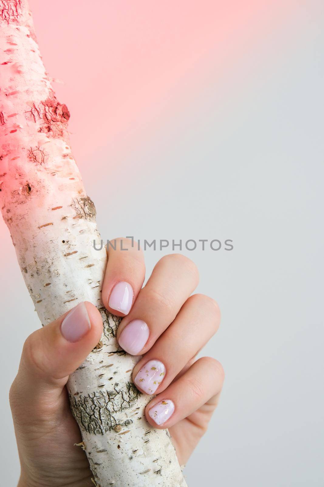 Closeup elegant pastel natural modern design manicure. Female hands holding Tree Trunk. Gel nails. Nude manicure. Beige color. Clean skin. Spa salon, advertisement. Skin care. Beauty. Nail care. Beauty treatment. Copy space