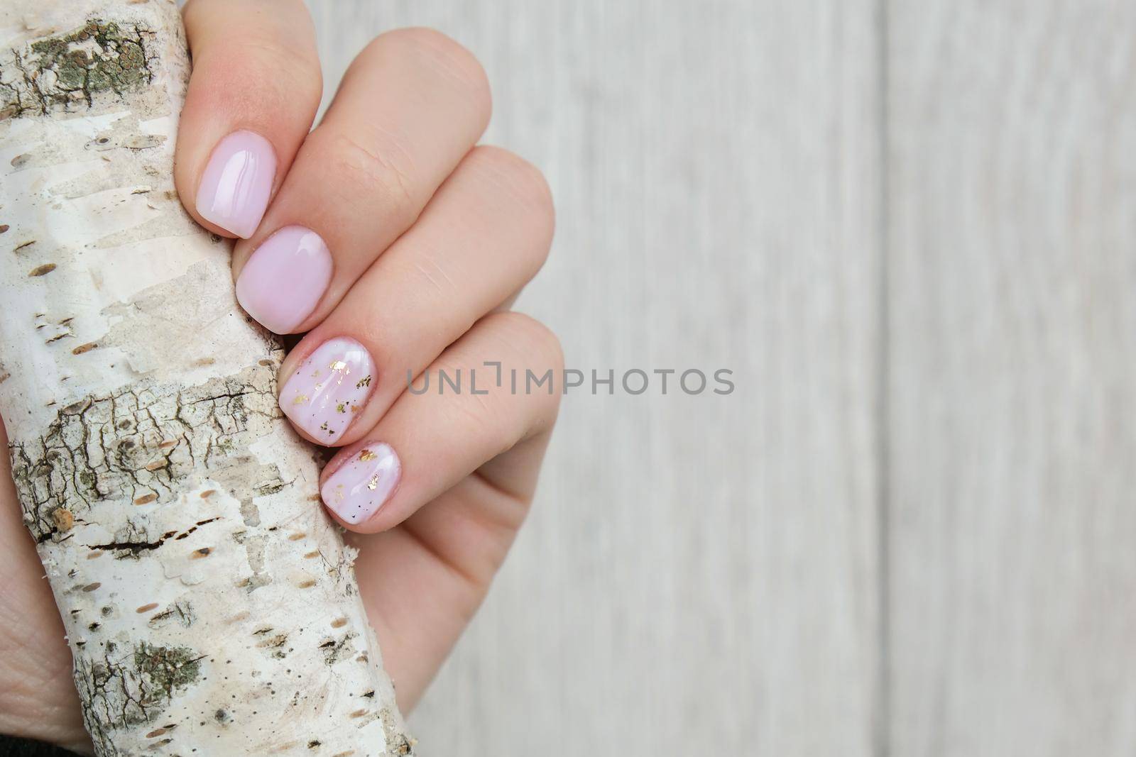 Closeup elegant pastel natural modern design manicure. Female hands holding Tree Trunk. Gel nails. Nude manicure. Beige color. Clean skin. Spa salon, advertisement. Skin care. Beauty. Nail care. Beauty treatment. Copy space