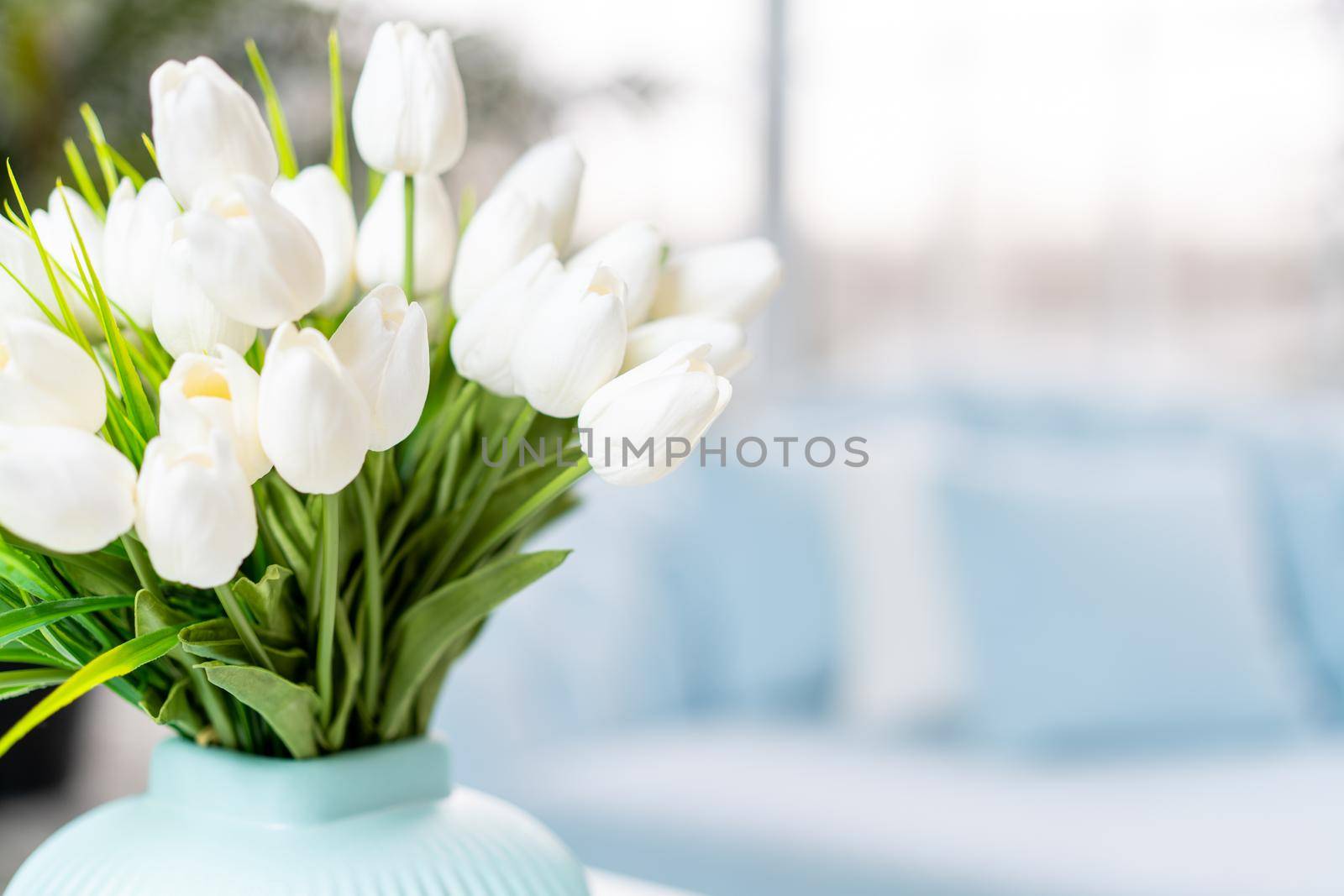 White tulip flowers in vase standing coffee table with blurred interior background. Spring flowers