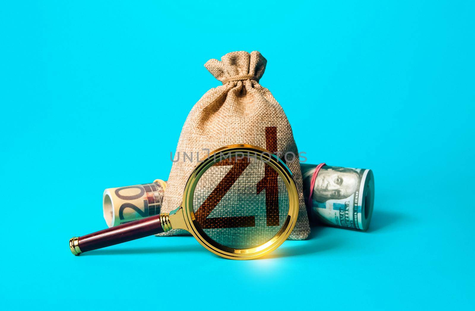 Polish zloty money bag and magnifying glass. Anti money laundering, tax evasion. Deposit or loan terms and conditions. Find investment funds for business project. Investigating capital origins.