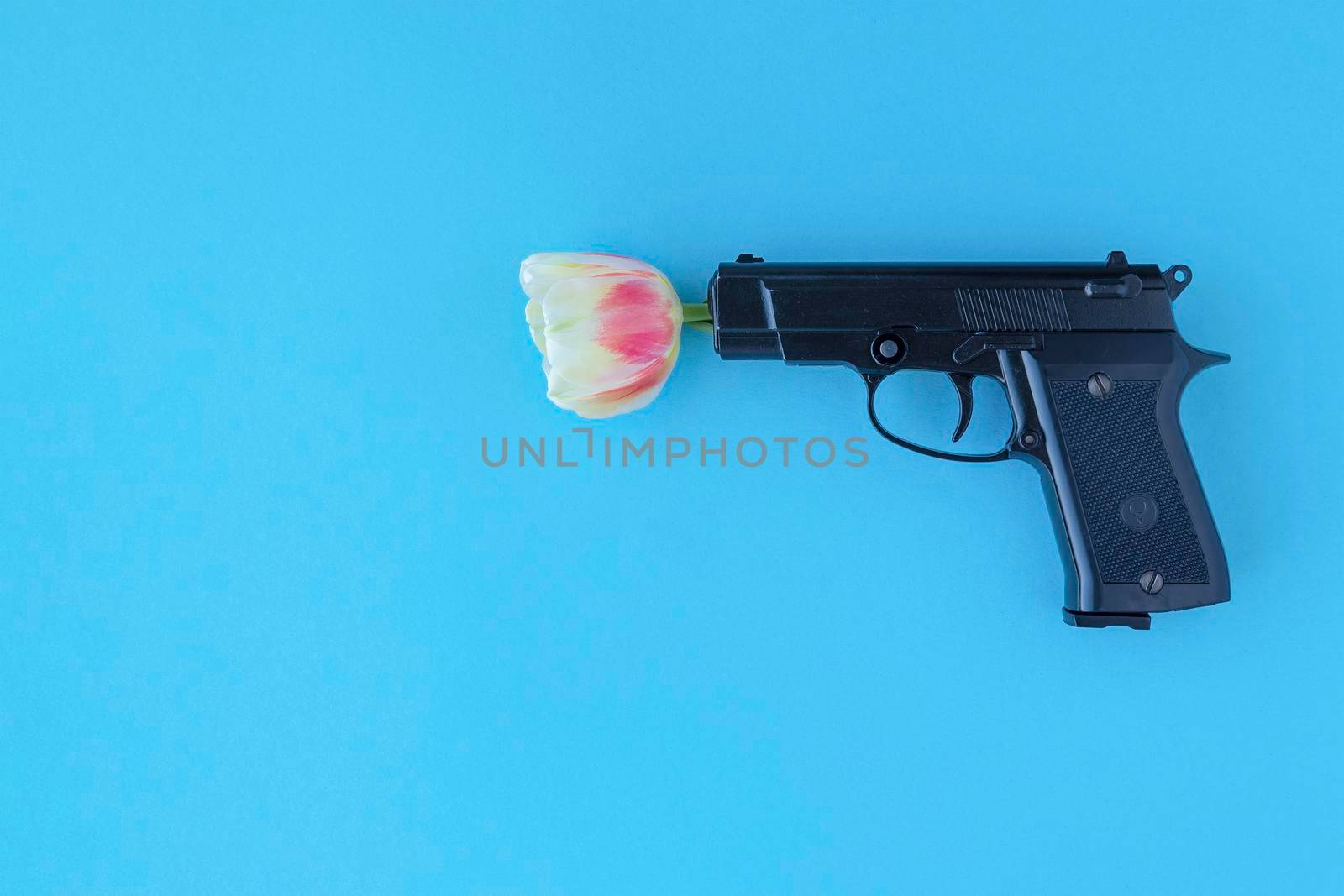 gun shoots pink tulip on blue background. concept of no war, stop the war, world peace. top view, flat lay, creative