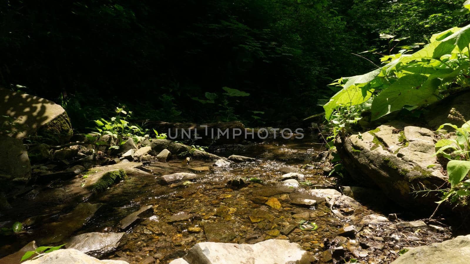 Mountain river among large stones in a green forest with small waterfalls. Sochi, Lazarevskoe, Berendeevo Tsarstvo, Russia