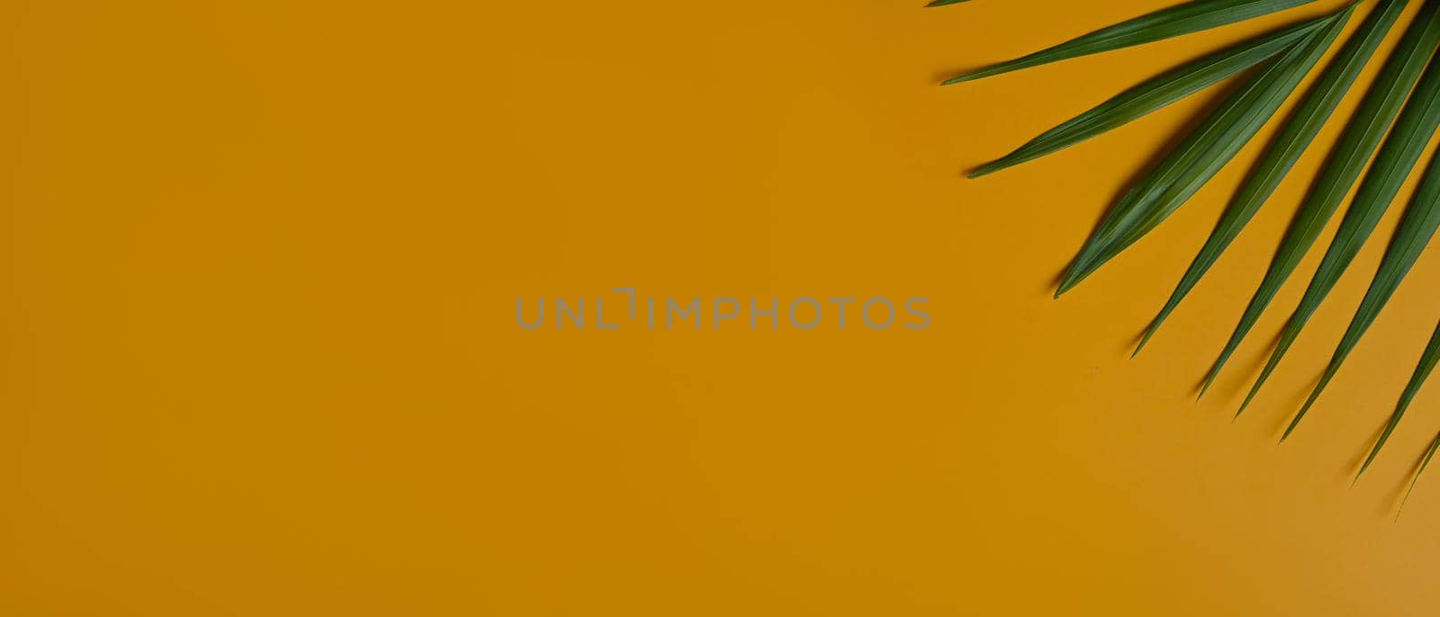 Flat lay tropical palm leaves on yellow background with copy space for text. Summer background. by prathanchorruangsak
