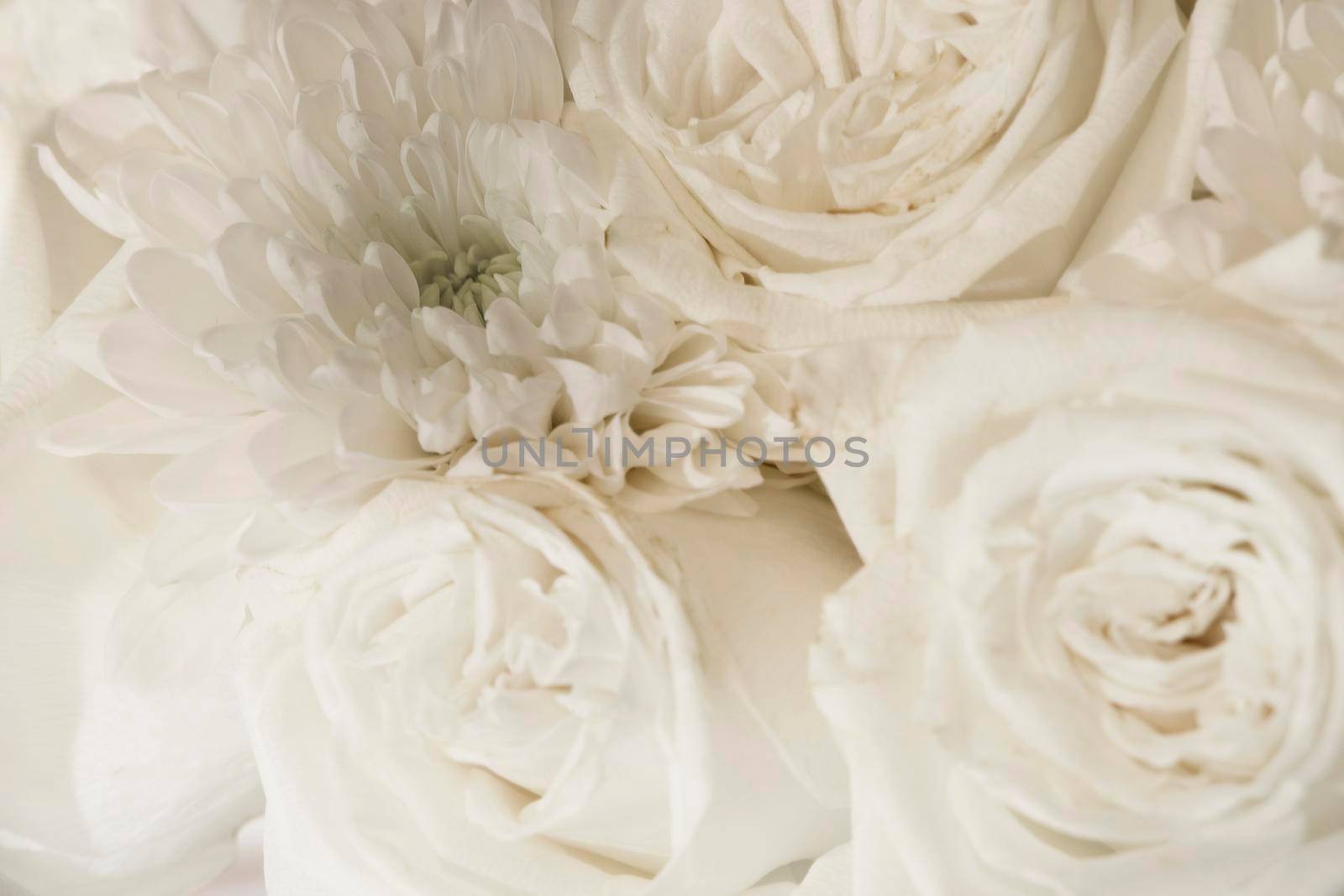 white flowers background. close up bouquet of white roses. Summer, spring or wedding concept. by Leoschka