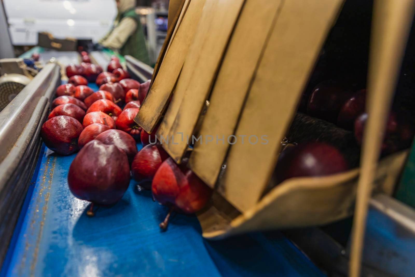 red apples on the automatic lines of the enterprise