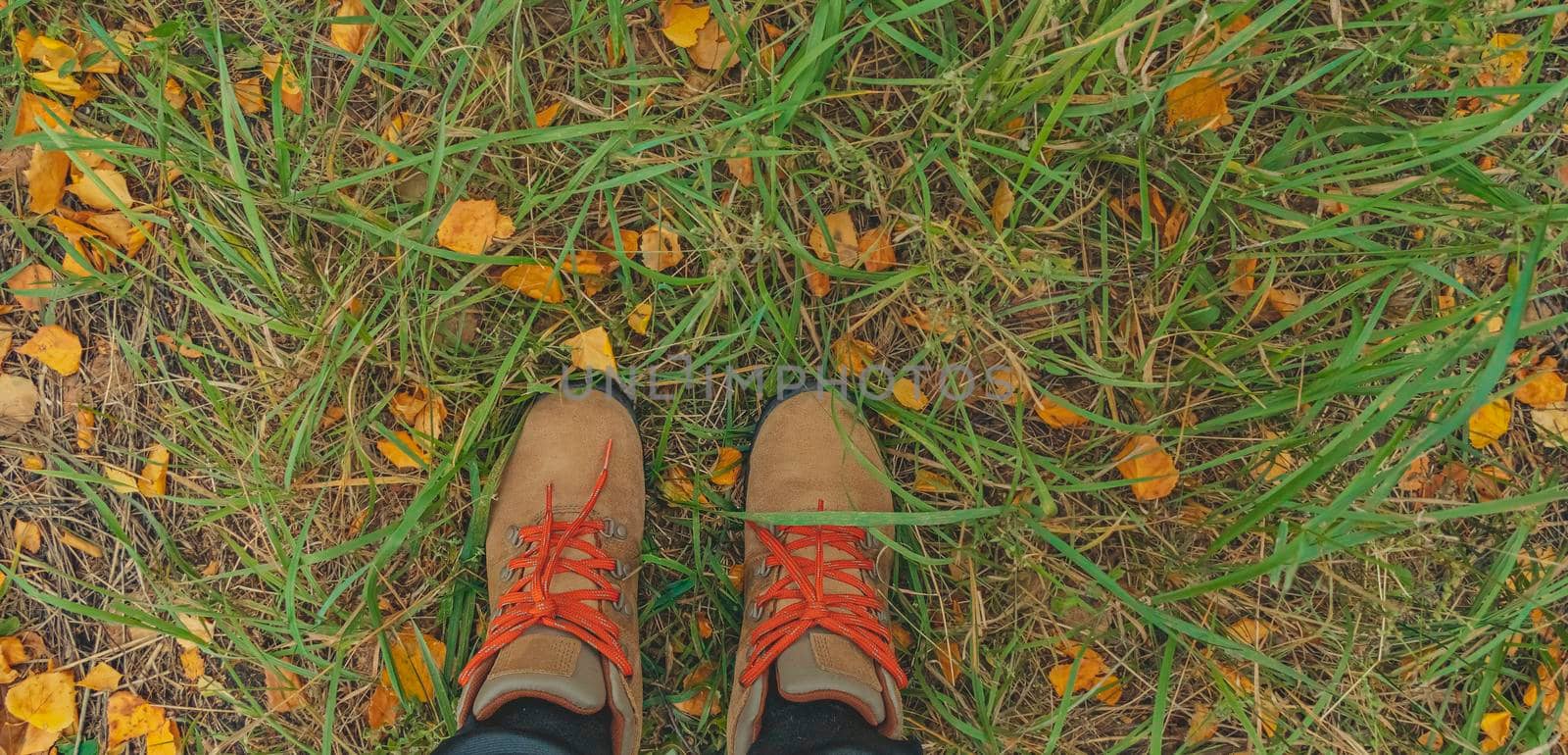 banner with feet in boots on green grass and yellow fallen leaves. autumn background. lifestyle concept. by Leoschka