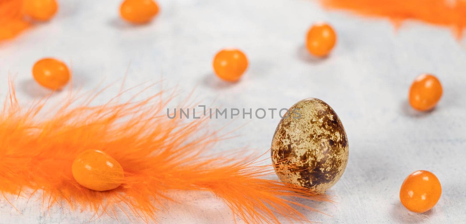 banner with quail egg on a white concrete background with orange feathers and orange chocolates in the shape of an egg. Happy Easter concept. Soft focus