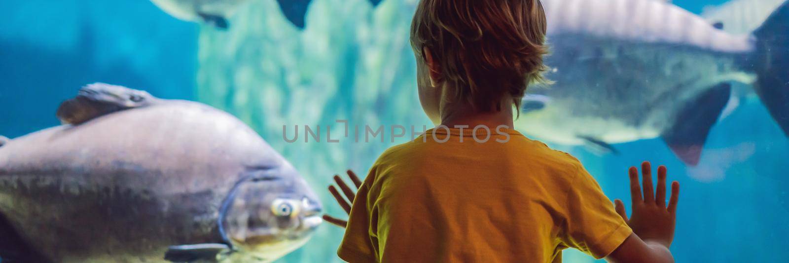 Little boy, kid watching the shoal of fish swimming in oceanarium, children enjoying underwater life in Aquarium BANNER, LONG FORMAT by galitskaya
