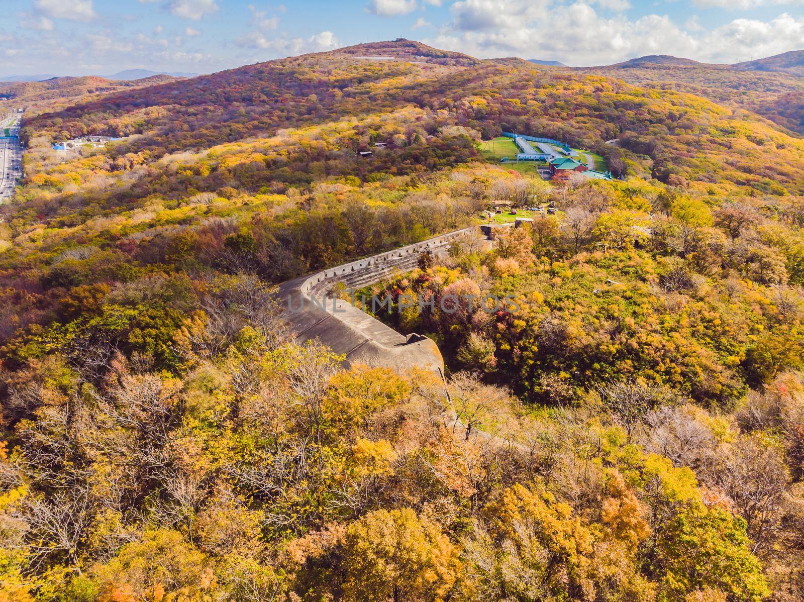 Aerial top down view of autumn forest with green and yellow trees. Mixed deciduous and coniferous forest. Beautiful fall scenery.