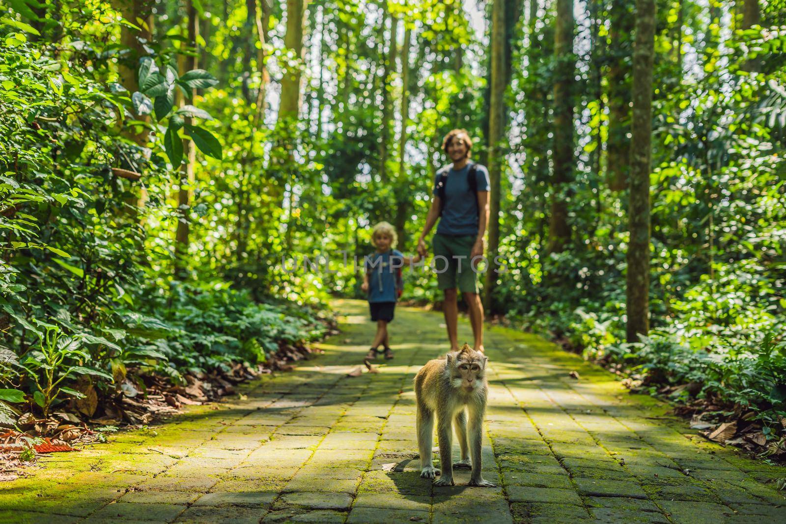 Dad and son travelers discovering Ubud forest in Monkey forest, Bali Indonesia. Traveling with children concept by galitskaya