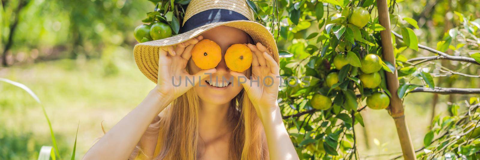 BANNER, LONG FORMAT Portrait of Attractive Farmer Woman is Harvesting Orange in Organic Farm, Cheerful Girl in Happiness Emotion While Reaping Oranges in The Garden, Agriculture and Plantation Concept by galitskaya