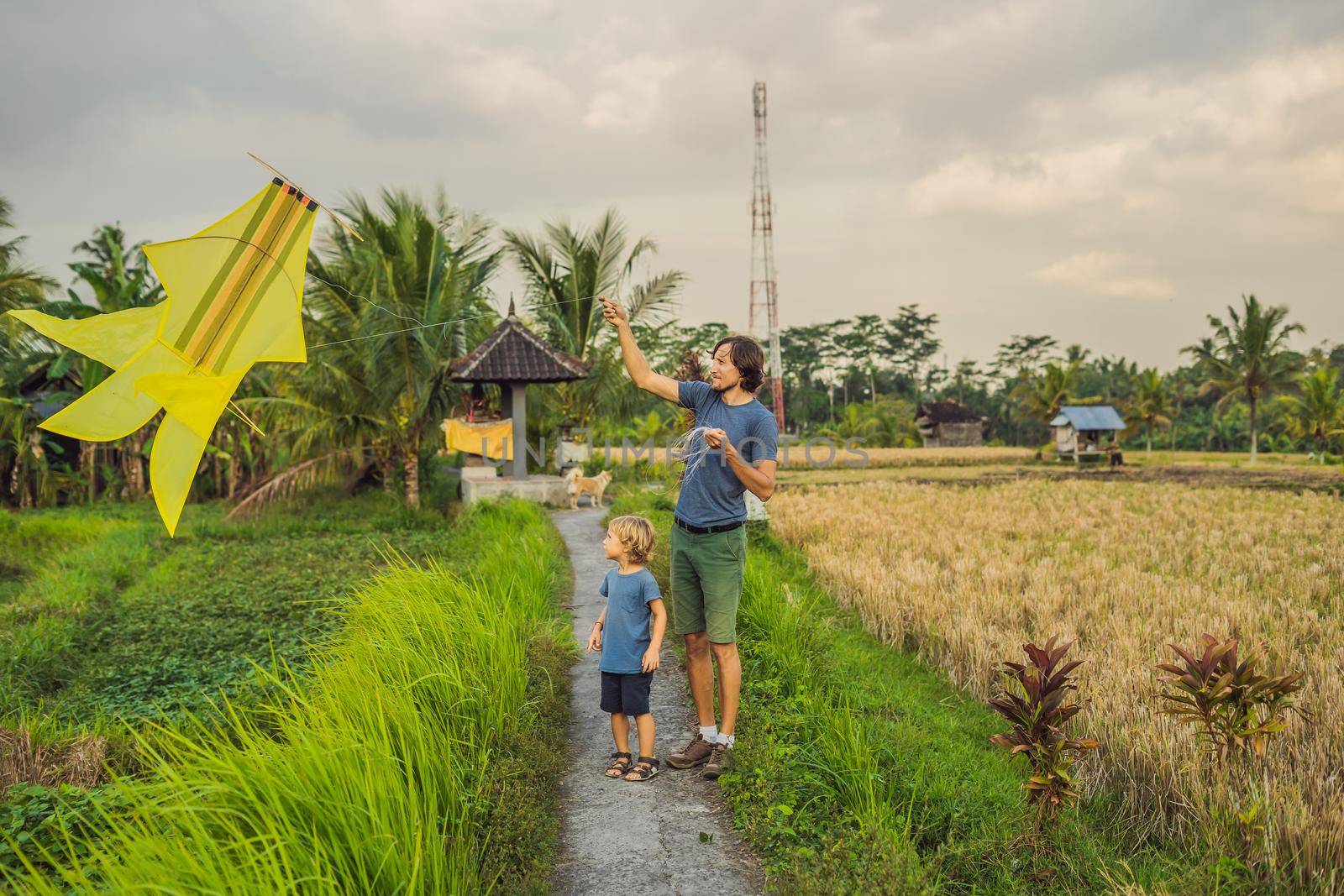 Dad and son launch a kite in a rice field in Ubud, Bali Island, Indonesia by galitskaya