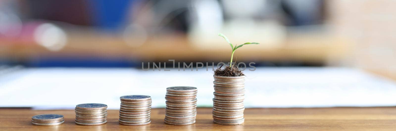 Coins are lying on the table in height, a green sprout on the money, a close-up. Investment in green energy, money for agricultural development