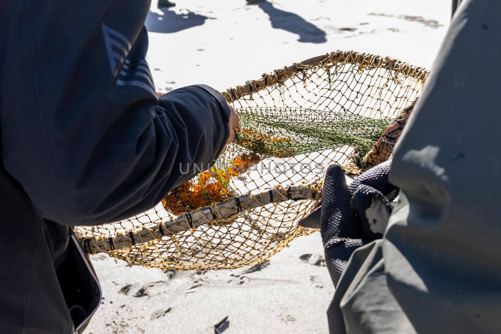 Amber collectors sort out their prey in a cage on the beach on the Baltic Sea coast in Baltiysk, Kaliningrad region, Russia.