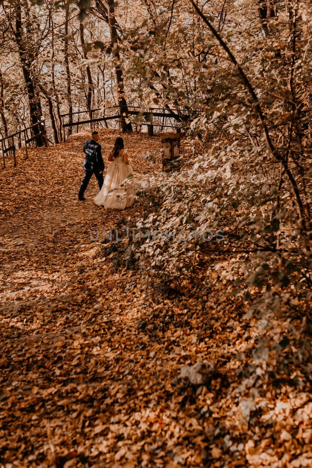 wedding couple in love man and woman walking in autumn forest by AndriiDrachuk