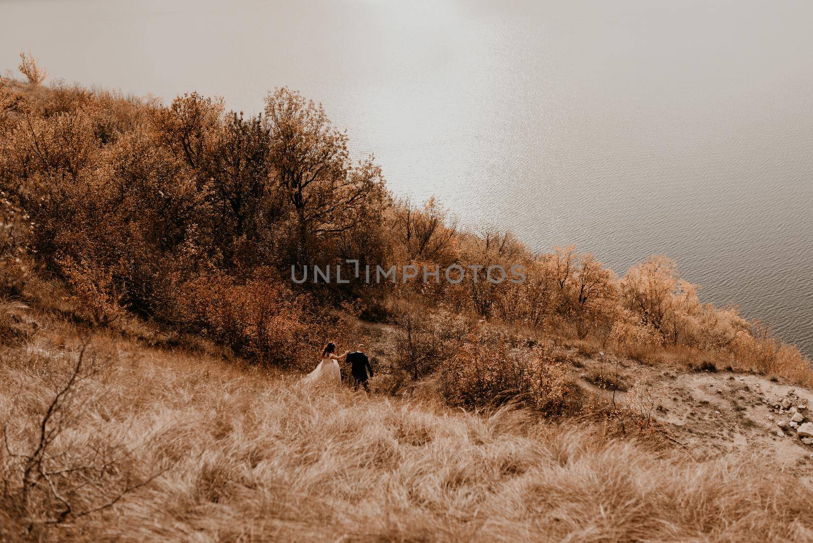 wedding couple walk down mountain to river. autumn field with tall grass near a large lake. by AndriiDrachuk