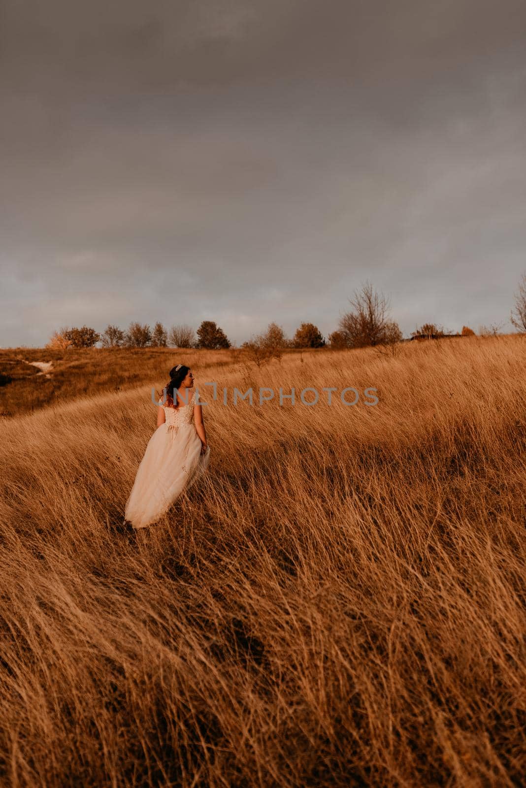 beautiful woman brunette bride in white dress and suit are walking on tall grass in field in summer