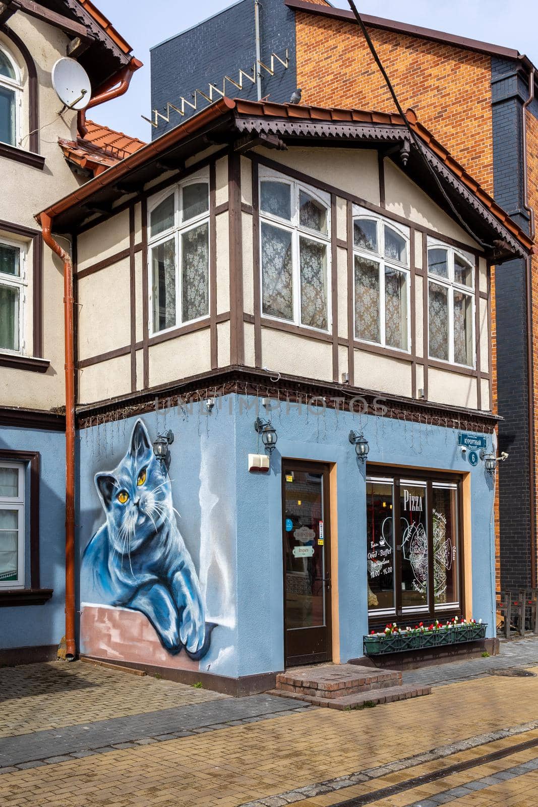 Zelenogradsk, Kaliningrad region, Russia - april 04 2022: An old European house with a large drawing with a blue cat on the wall.