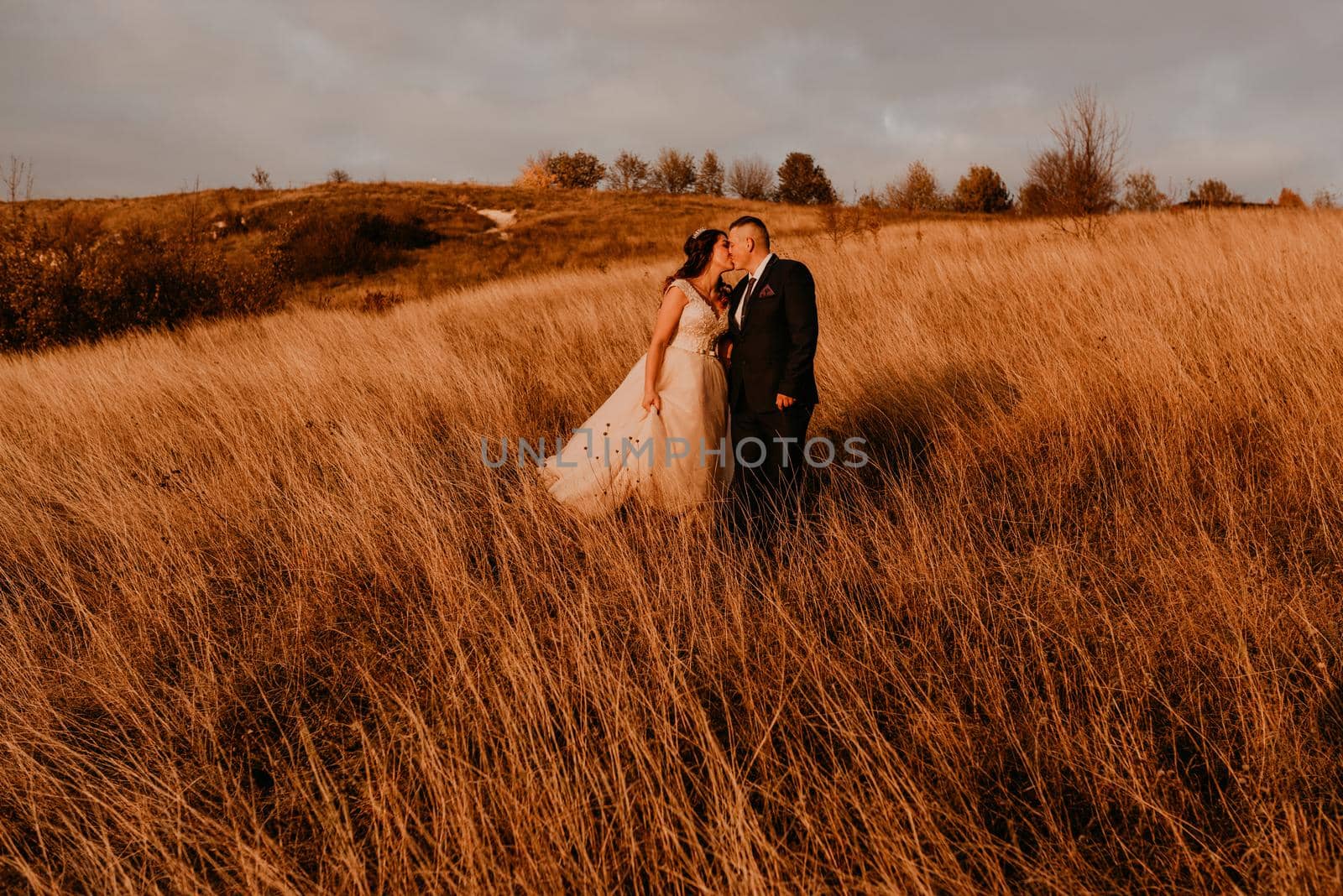 couple in love wedding newlyweds are walking on long grass in a field in summer by AndriiDrachuk