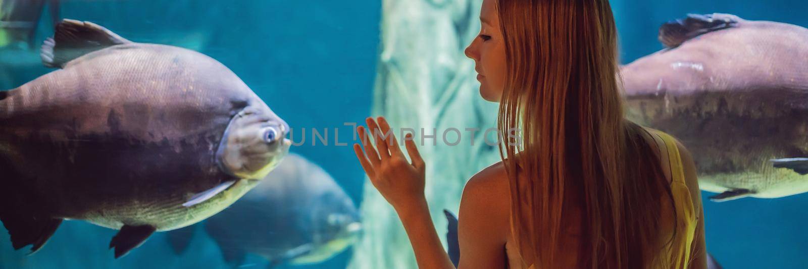 Young woman touches a stingray fish in an oceanarium tunnel BANNER, LONG FORMAT by galitskaya