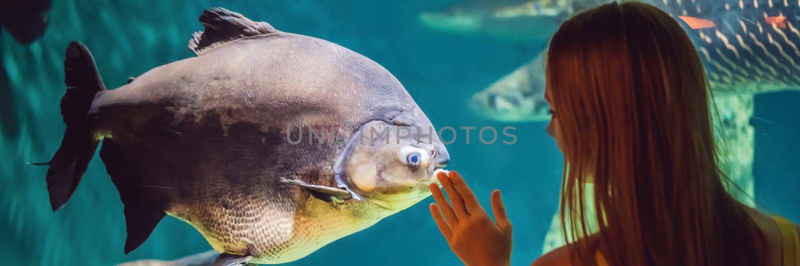 Young woman touches a stingray fish in an oceanarium tunnel BANNER, LONG FORMAT by galitskaya