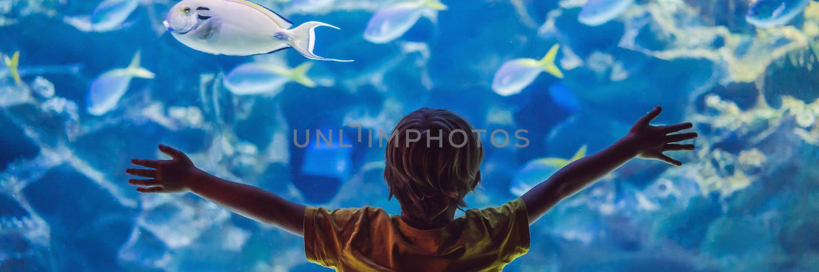 Little boy, kid watching the shoal of fish swimming in oceanarium, children enjoying underwater life in Aquarium. BANNER, LONG FORMAT