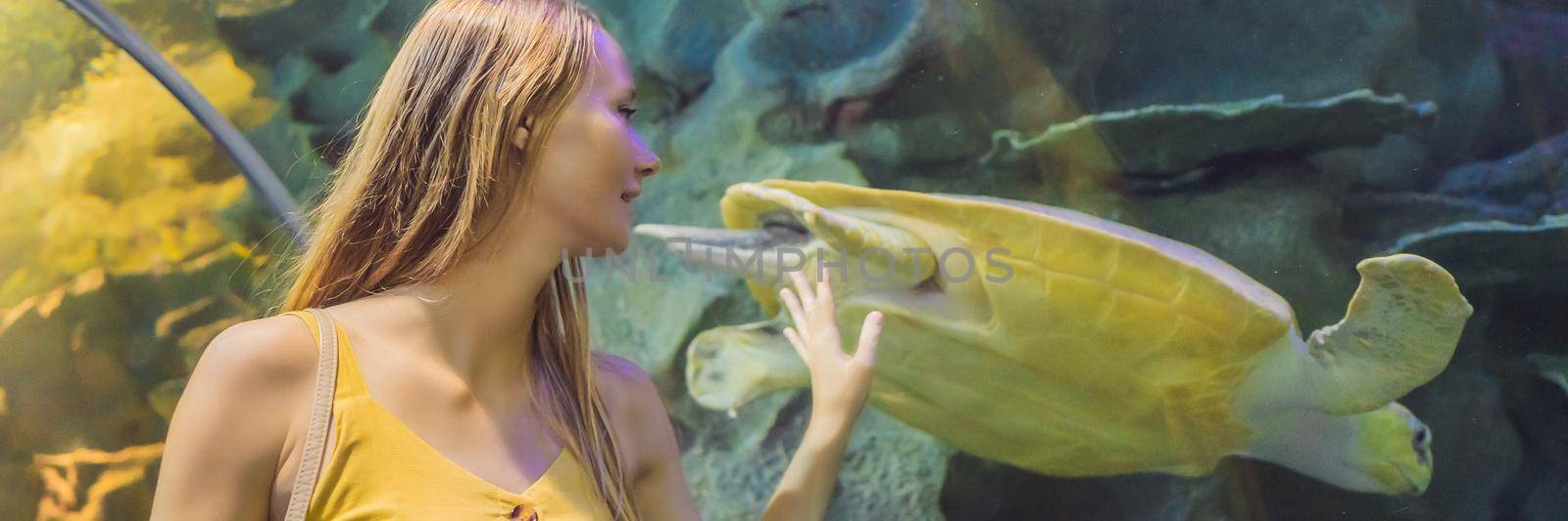 Young woman touches a stingray fish in an oceanarium tunnel. BANNER, LONG FORMAT