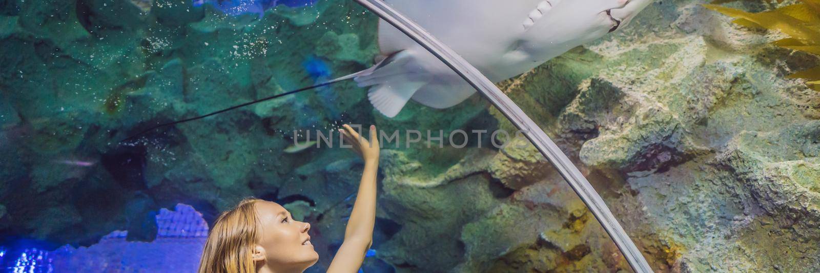 Young woman touches a stingray fish in an oceanarium tunnel. BANNER, LONG FORMAT