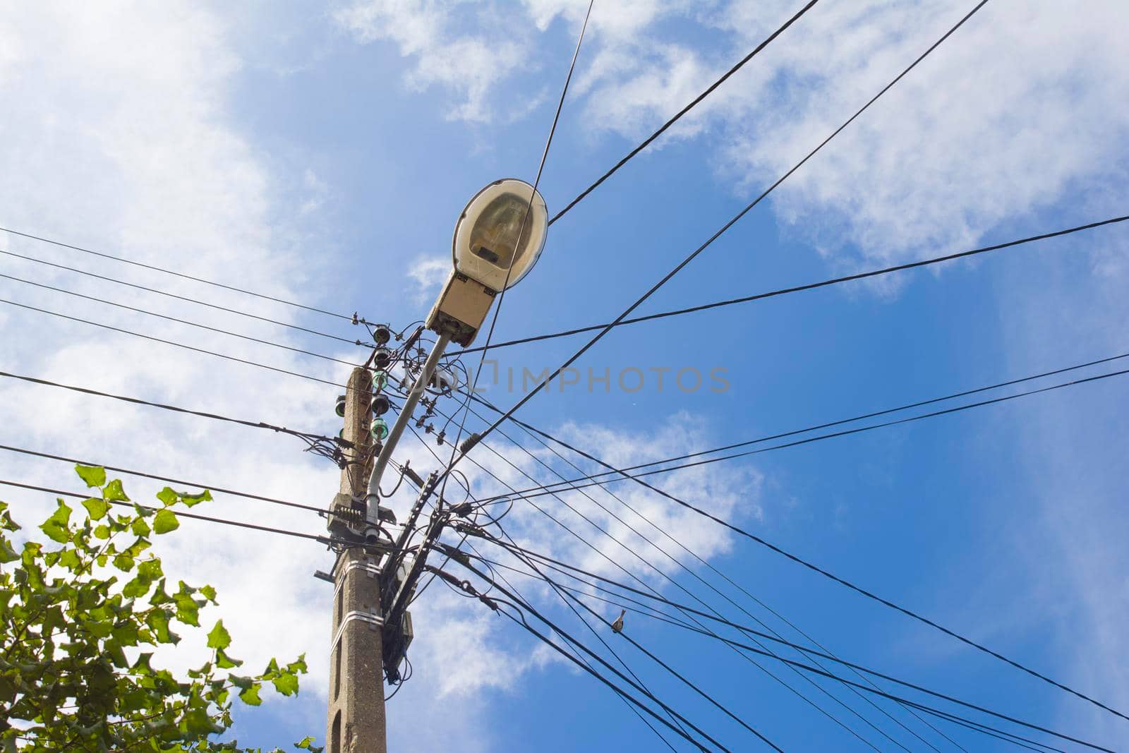 Electric cable and wires on electric pole