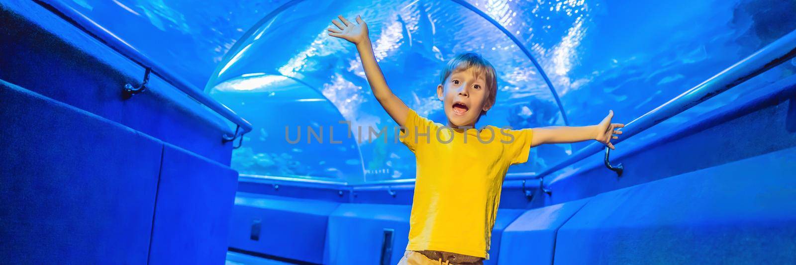 aquarium and boy, visit in oceanarium, underwater tunnel and kid, wildlife underwater indoor, nature aquatic, fish, tortoise BANNER, LONG FORMAT by galitskaya