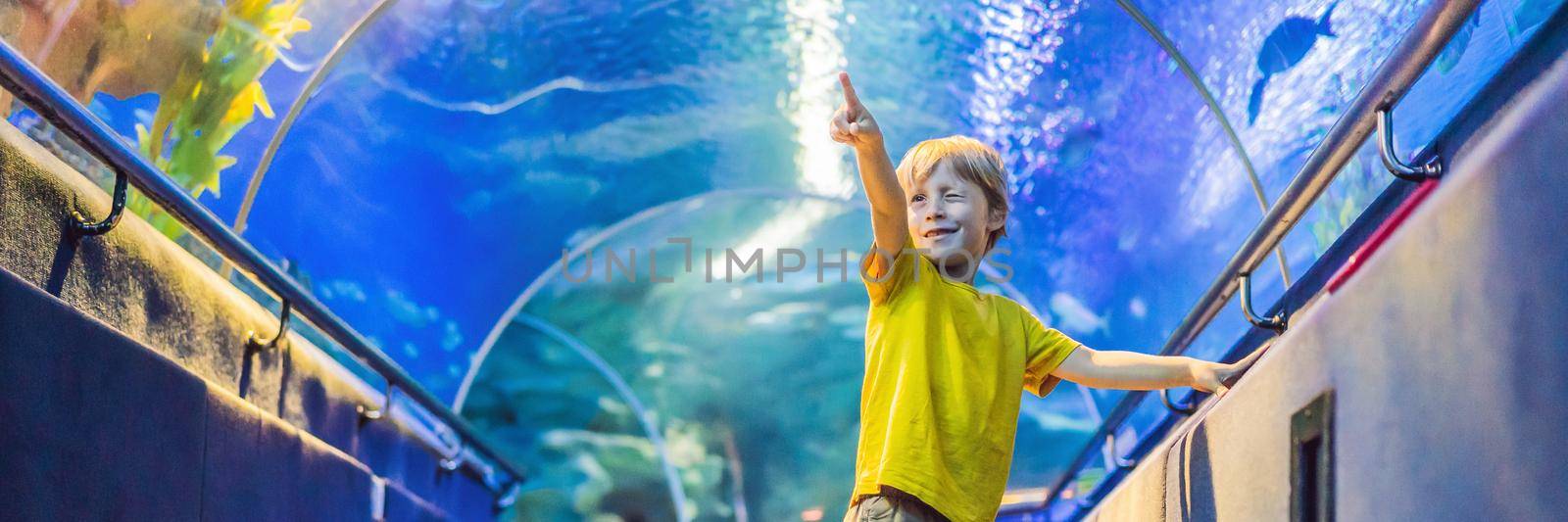 aquarium and boy, visit in oceanarium, underwater tunnel and kid, wildlife underwater indoor, nature aquatic, fish, tortoise BANNER, LONG FORMAT by galitskaya