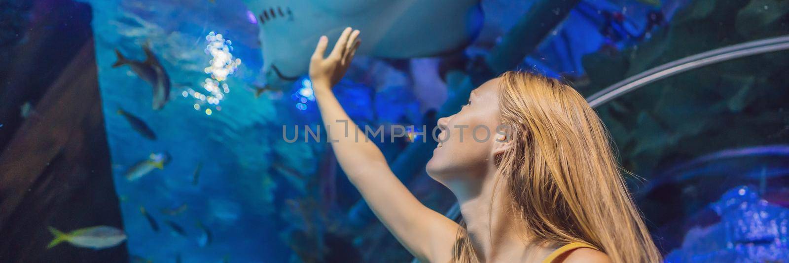 Young woman touches a stingray fish in an oceanarium tunnel. BANNER, LONG FORMAT