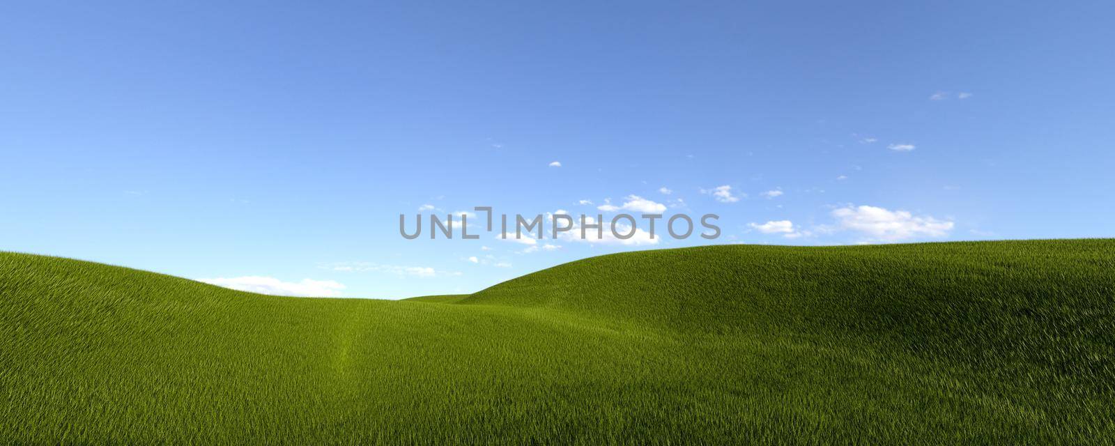 3d rendering image of a green field of grass and a bright blue sky. artificial grass. Panorama of green grass and sky.