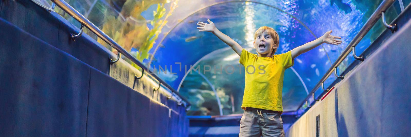 aquarium and boy, visit in oceanarium, underwater tunnel and kid, wildlife underwater indoor, nature aquatic, fish, tortoise. BANNER, LONG FORMAT