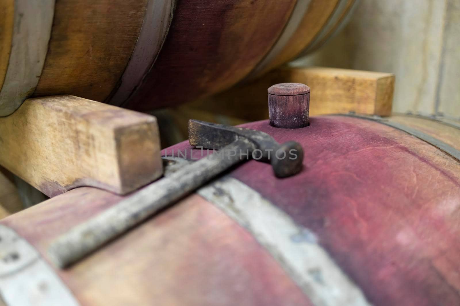 wooden oak barrels in a winery nearby Batorove Kosihy, Slovakia