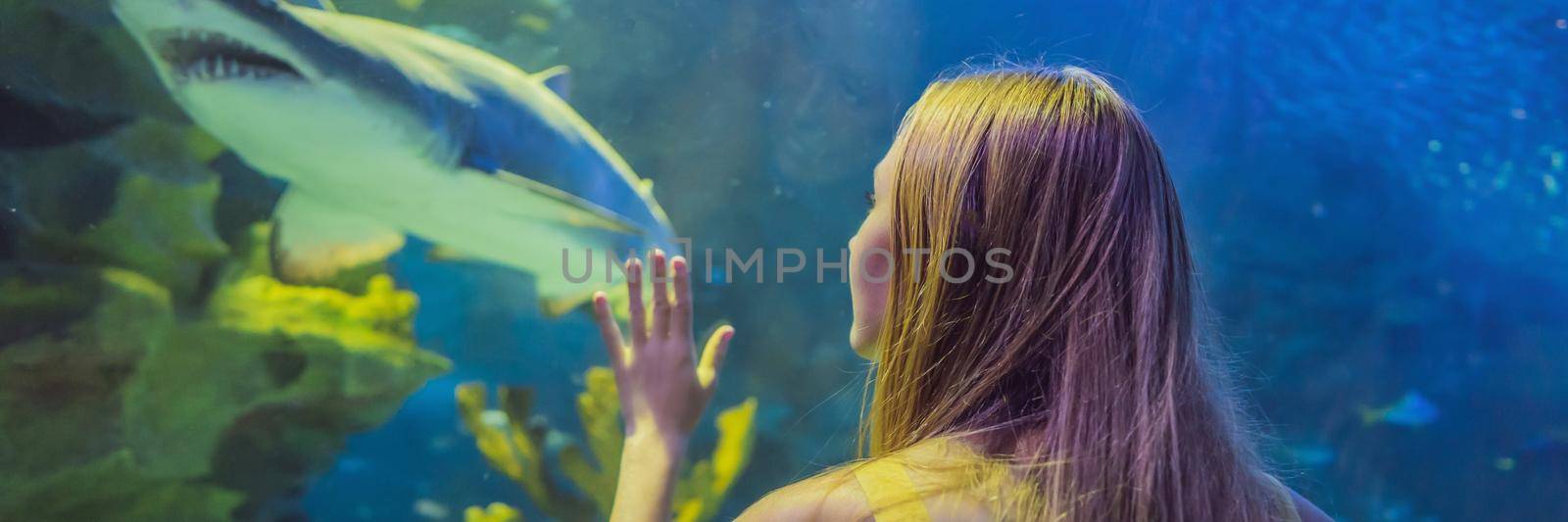 Young woman touches a stingray fish in an oceanarium tunnel. BANNER, LONG FORMAT