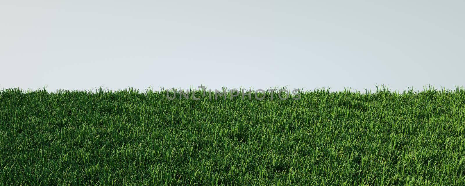 3D render of grass. Background abstraction of lawn advertising with conditional architecture.