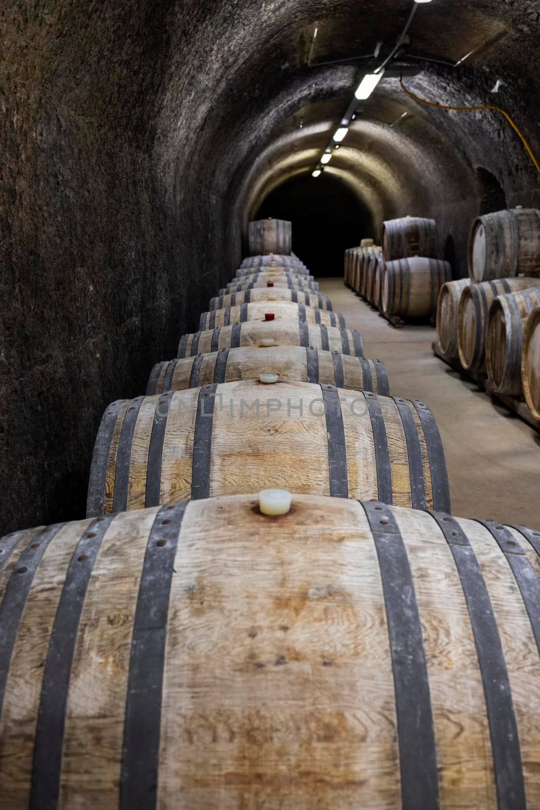 Wine cellars with barrels, traditional wine called Bikaver near Eger, Hungary by phbcz