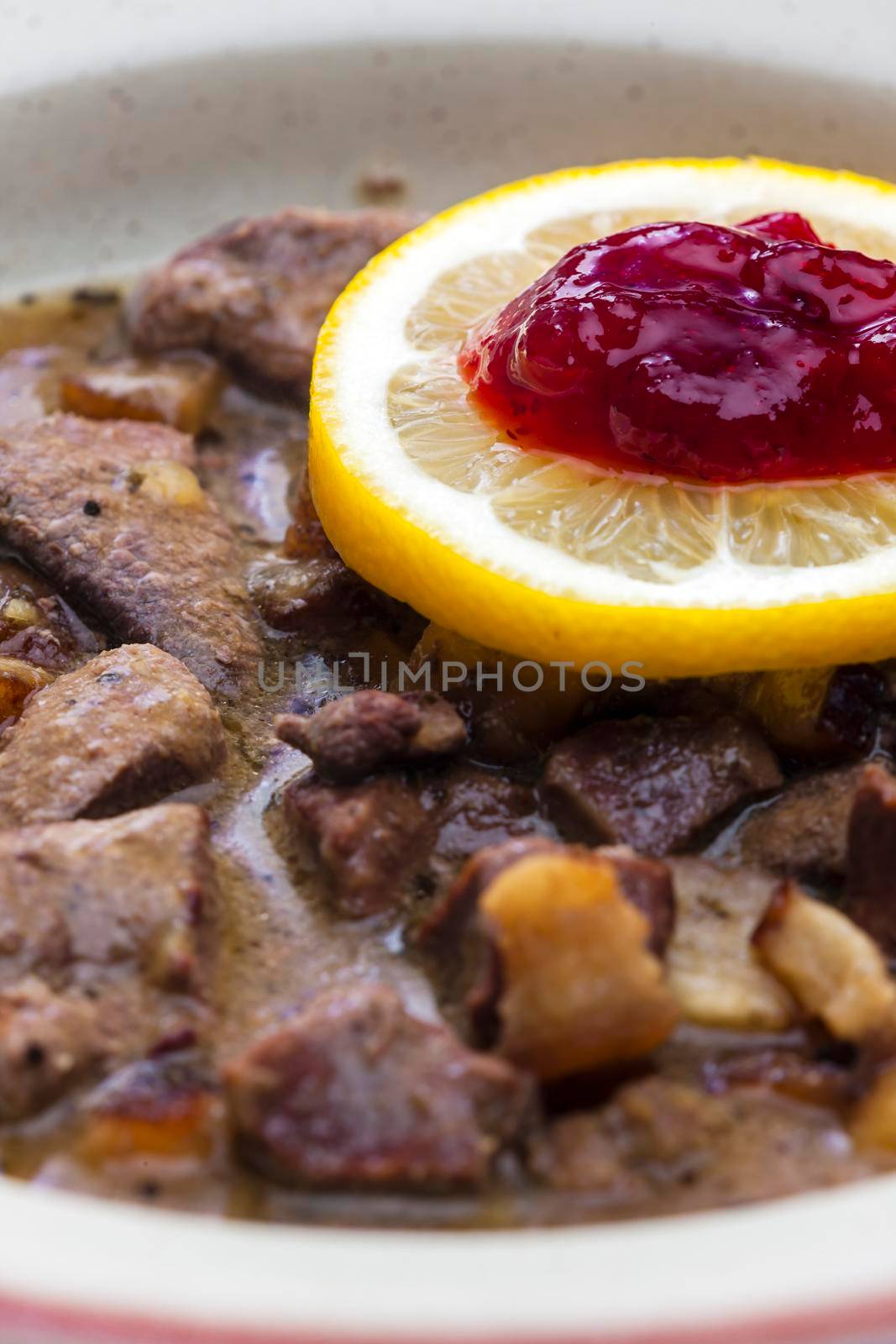 venison goulash with lemon and cranberries by phbcz