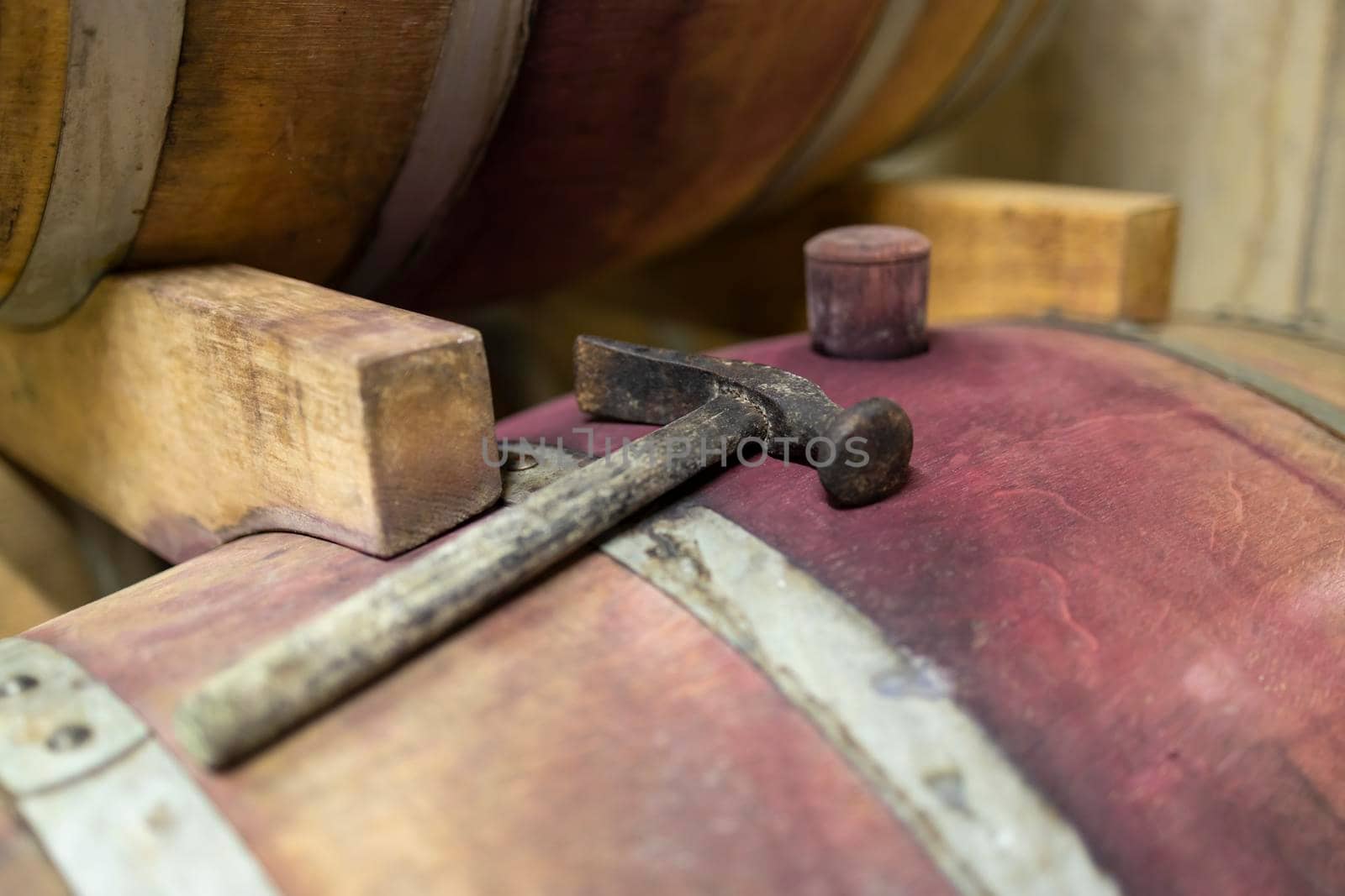 wooden oak barrels in a winery nearby Batorove Kosihy, Slovakia by phbcz