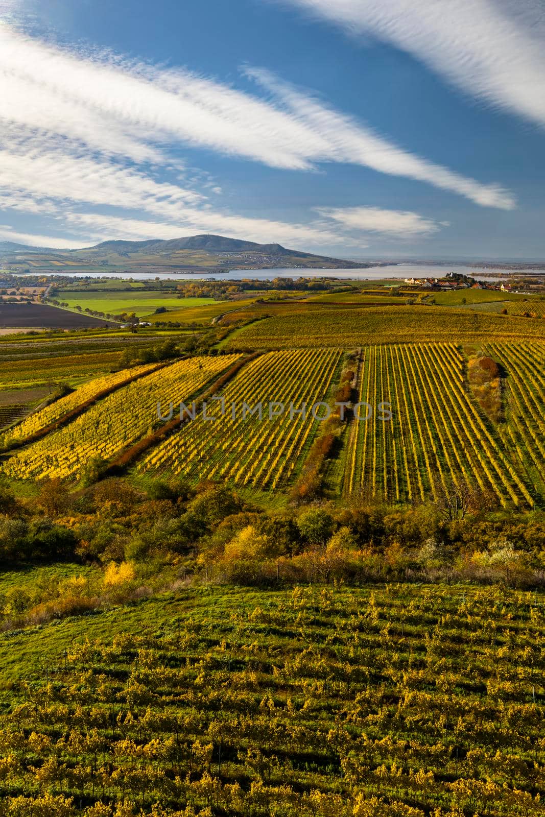Vineyards under Palava, Southern Moravia, Czech Republic by phbcz