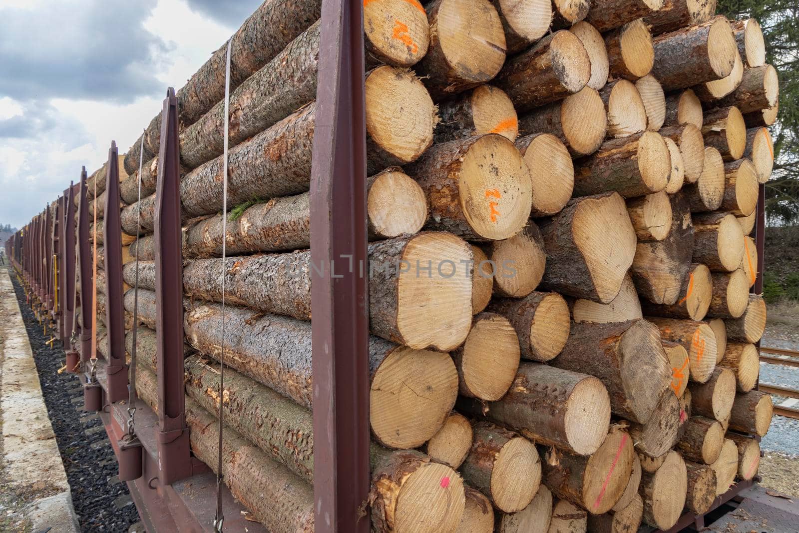 Transport of timber on railway wagons by phbcz