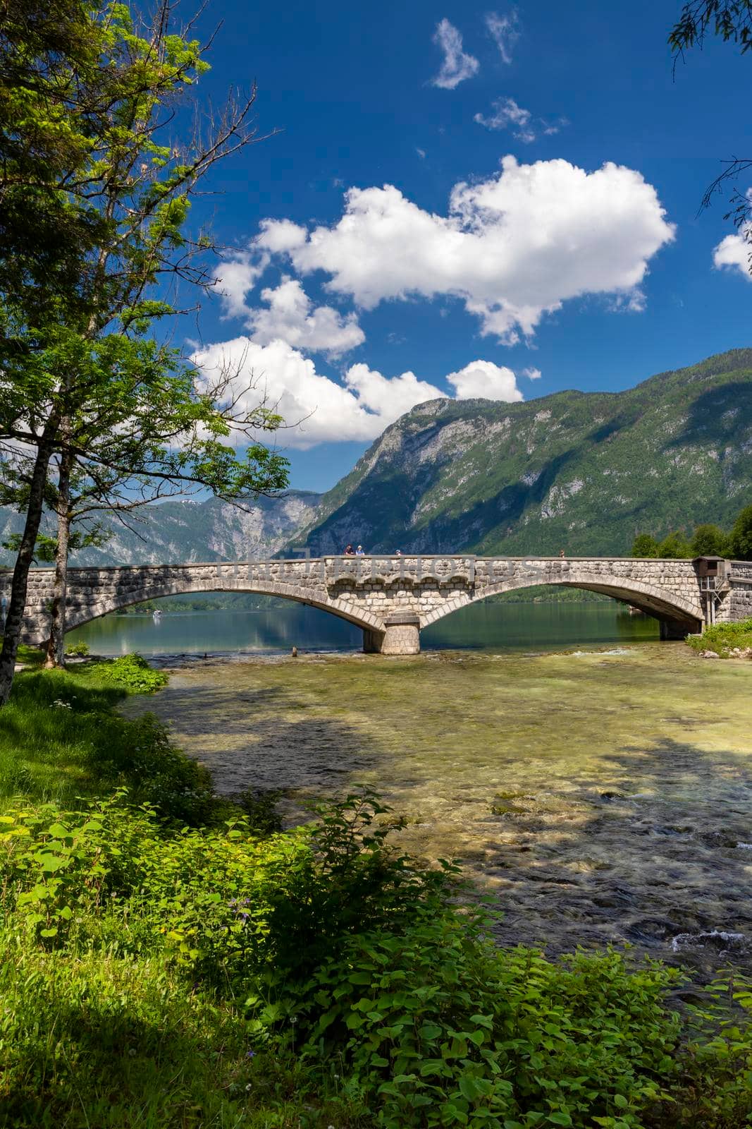 Lake Bohinj in Triglav national park, Slovenia