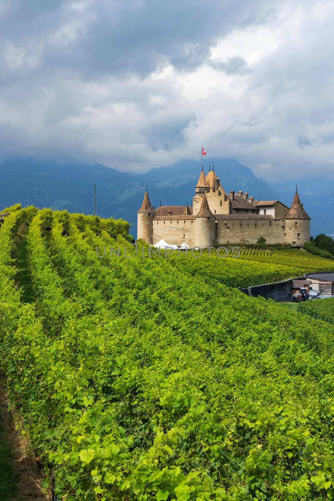 Castle Chateau d'Aigle in canton Vaud, Switzerland by phbcz