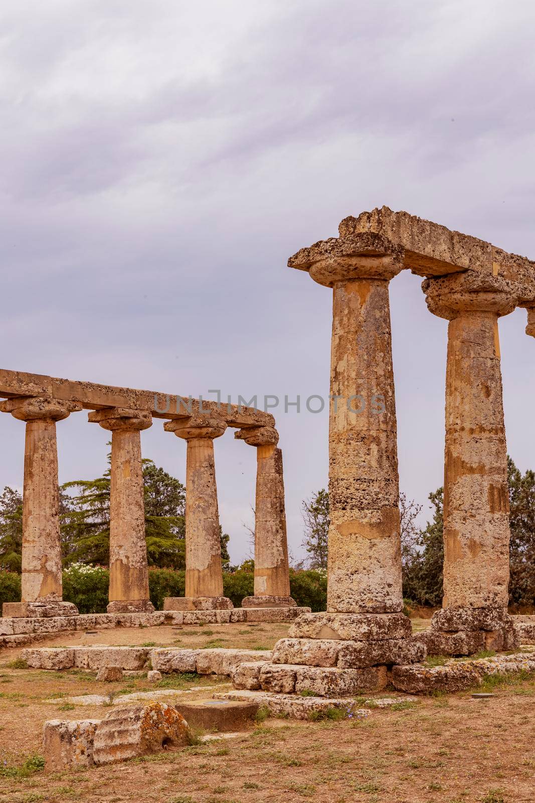 Temple of Hera from 6 century BC, archaeological site near Bernalda, Italy by phbcz