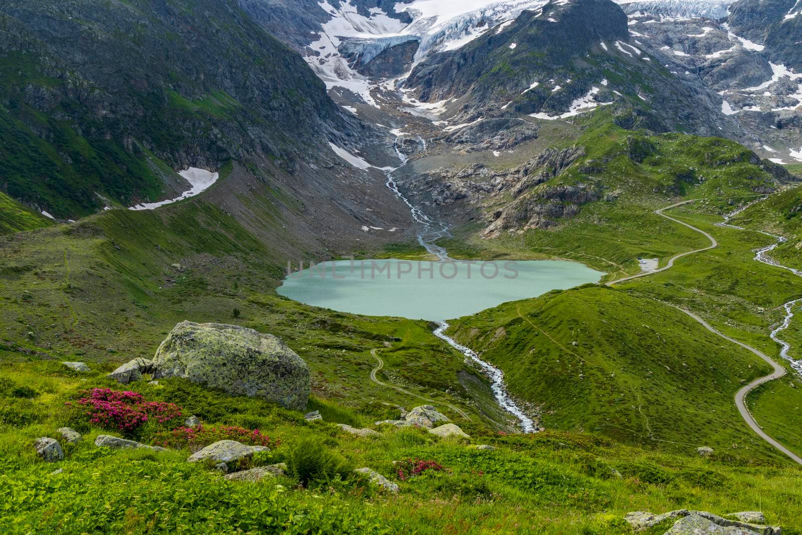 Typical alpine landscape of Swiss Alps with Steinsee, Urner Alps, Canton of Bern, Switzerland