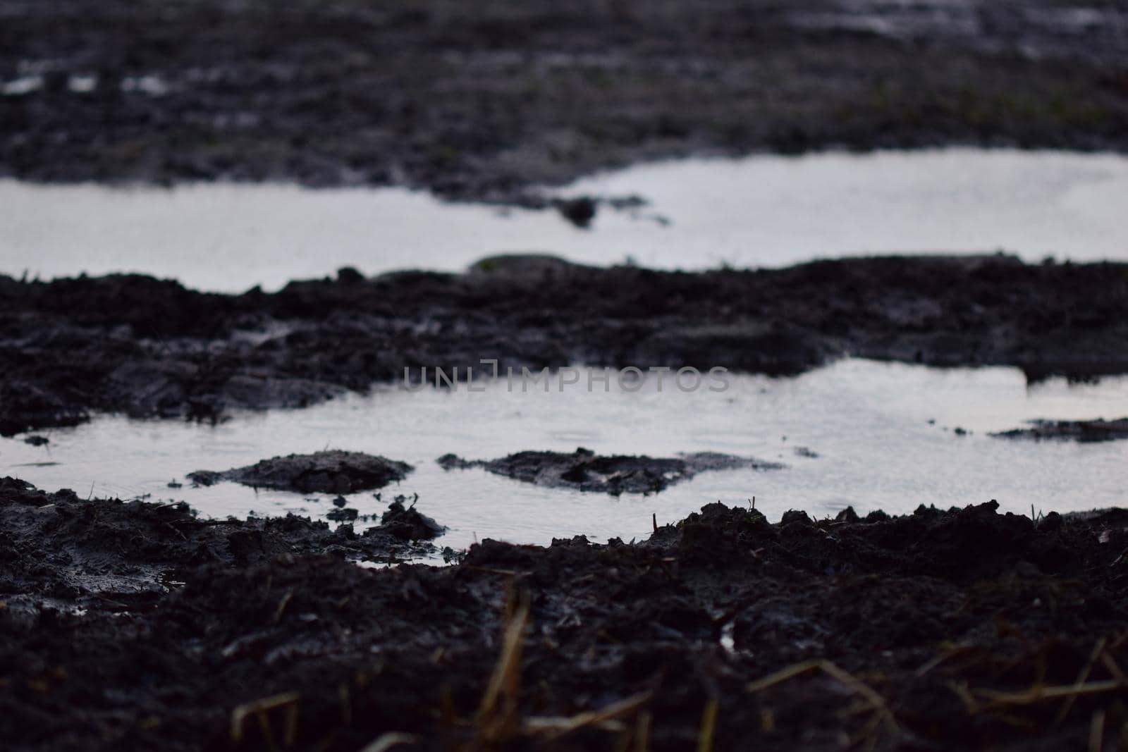 Big puddle on a paddock on a dreary day as a close up